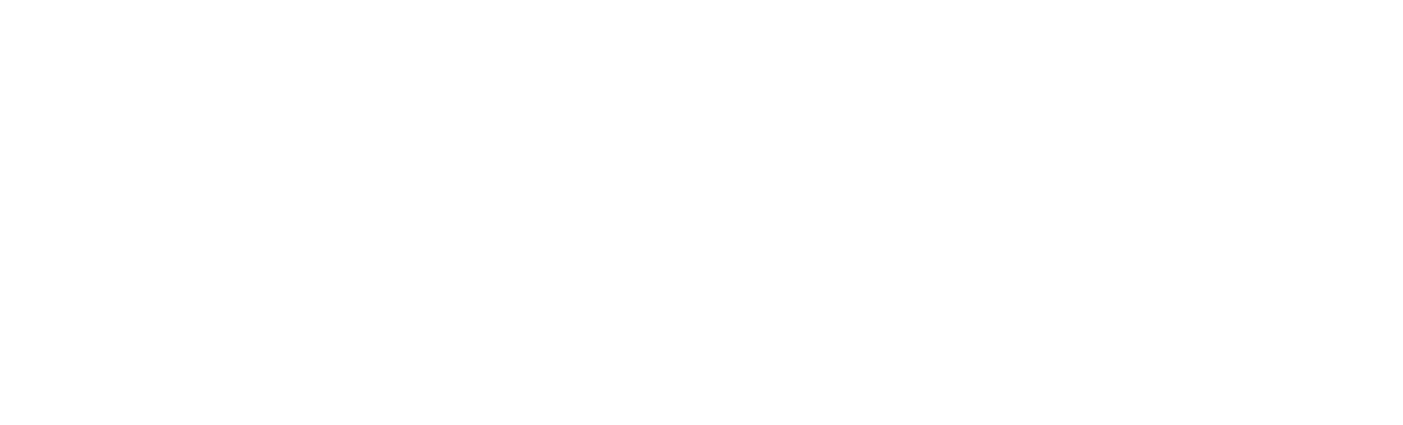 SqueezeSite Logo